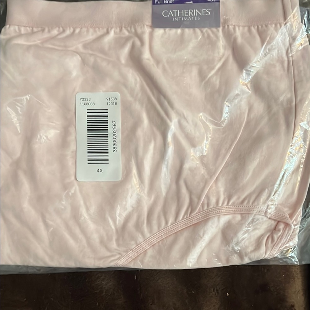 Catherines Intimates Soft Pink Briefs